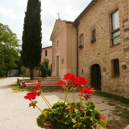 Marco & Andrea Agriturismo อเมเลีย ภายนอก รูปภาพ