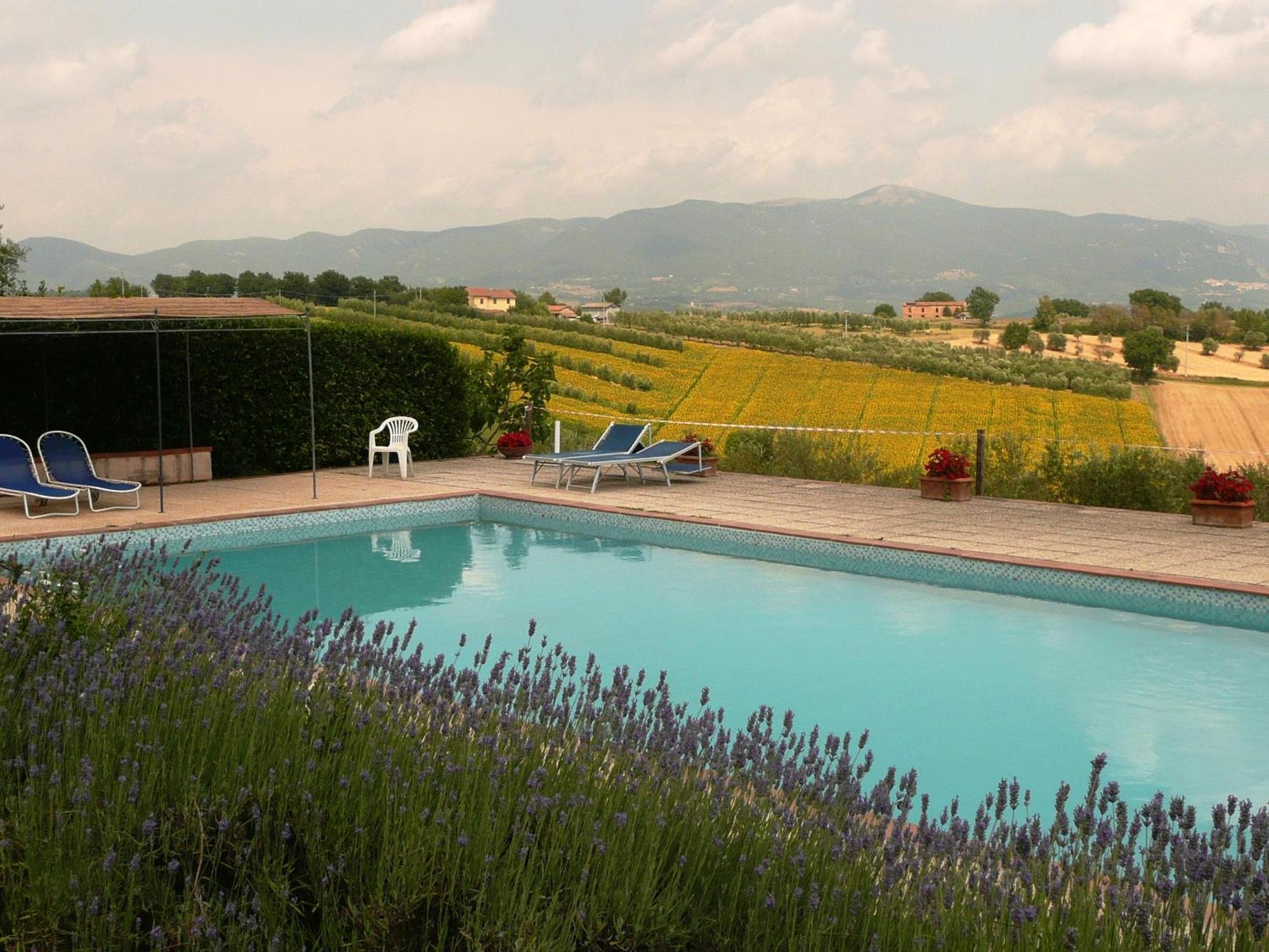Marco & Andrea Agriturismo อเมเลีย ภายนอก รูปภาพ