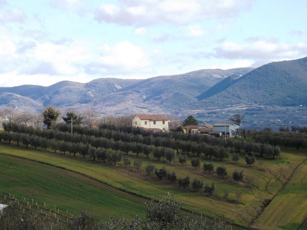 Marco & Andrea Agriturismo อเมเลีย ภายนอก รูปภาพ