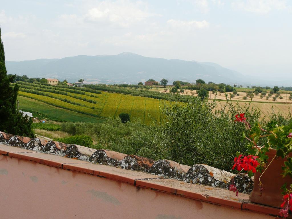Marco & Andrea Agriturismo อเมเลีย ภายนอก รูปภาพ