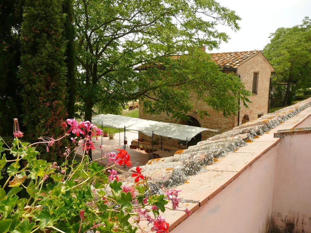 Marco & Andrea Agriturismo อเมเลีย ภายนอก รูปภาพ