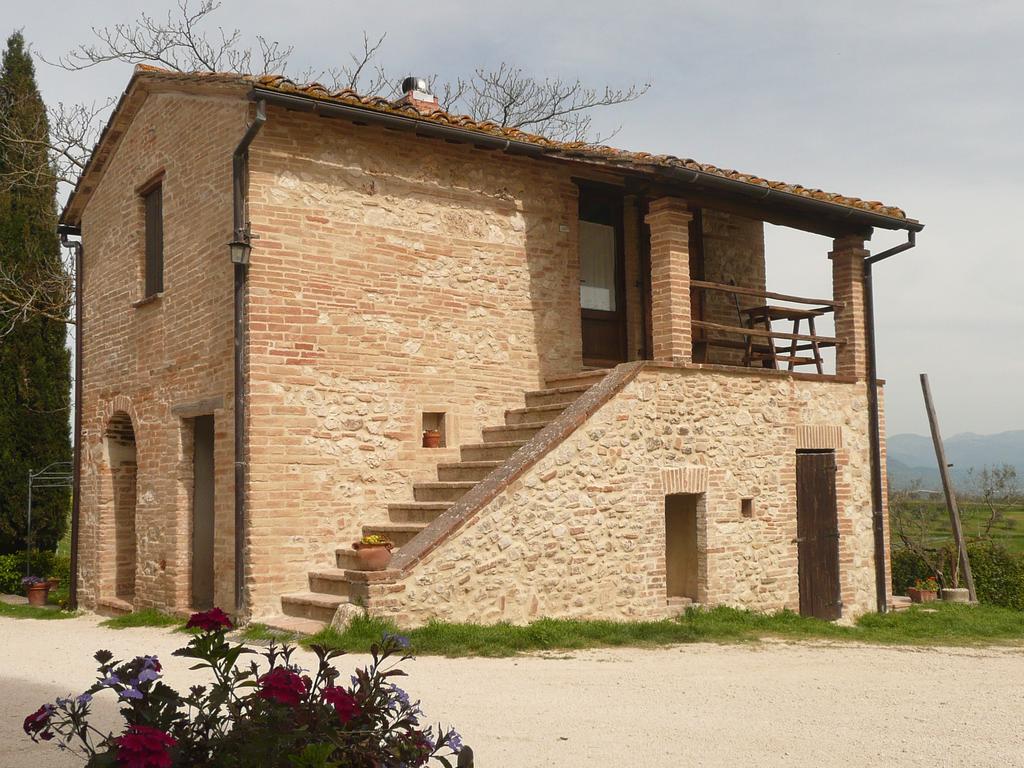 Marco & Andrea Agriturismo อเมเลีย ภายนอก รูปภาพ