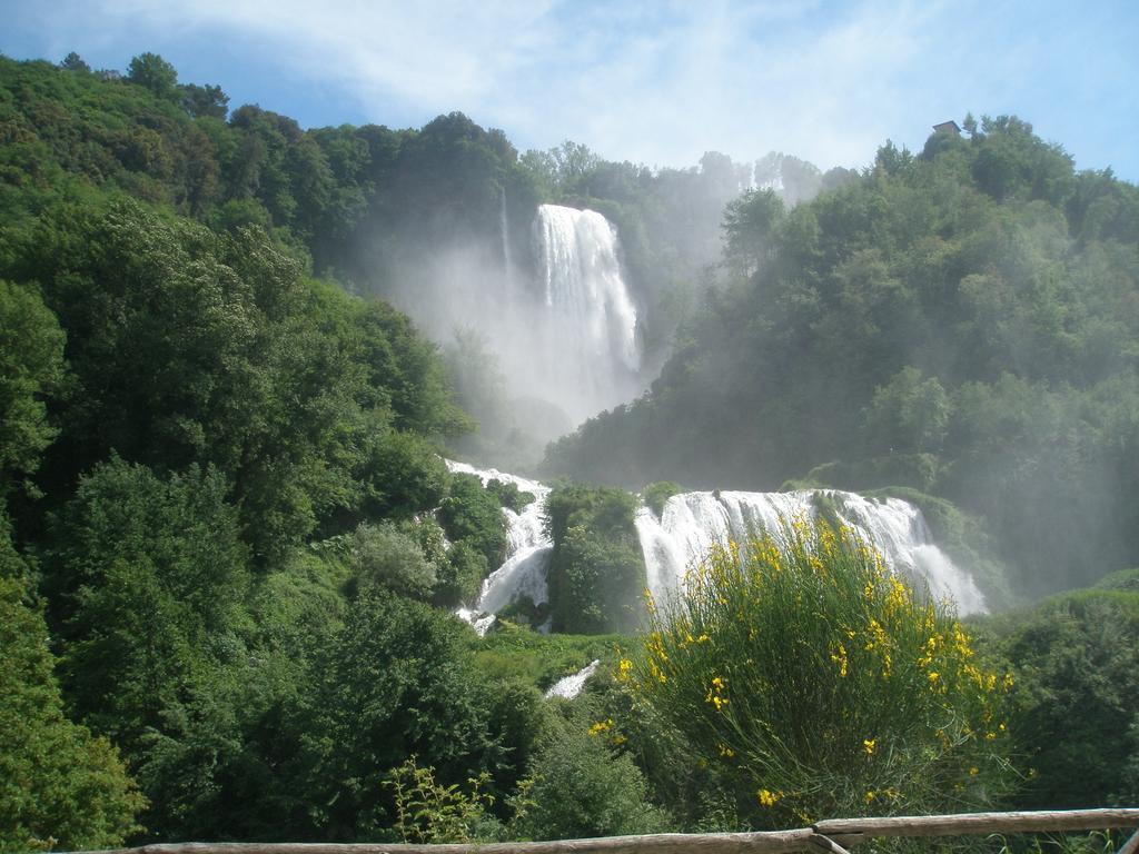 Marco & Andrea Agriturismo อเมเลีย ภายนอก รูปภาพ