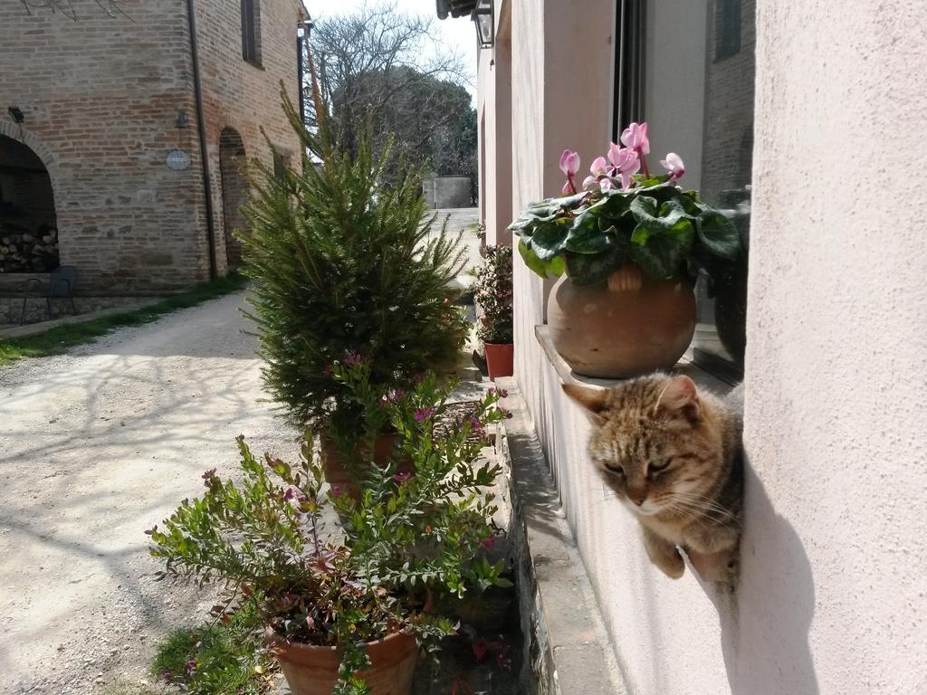 Marco & Andrea Agriturismo อเมเลีย ภายนอก รูปภาพ