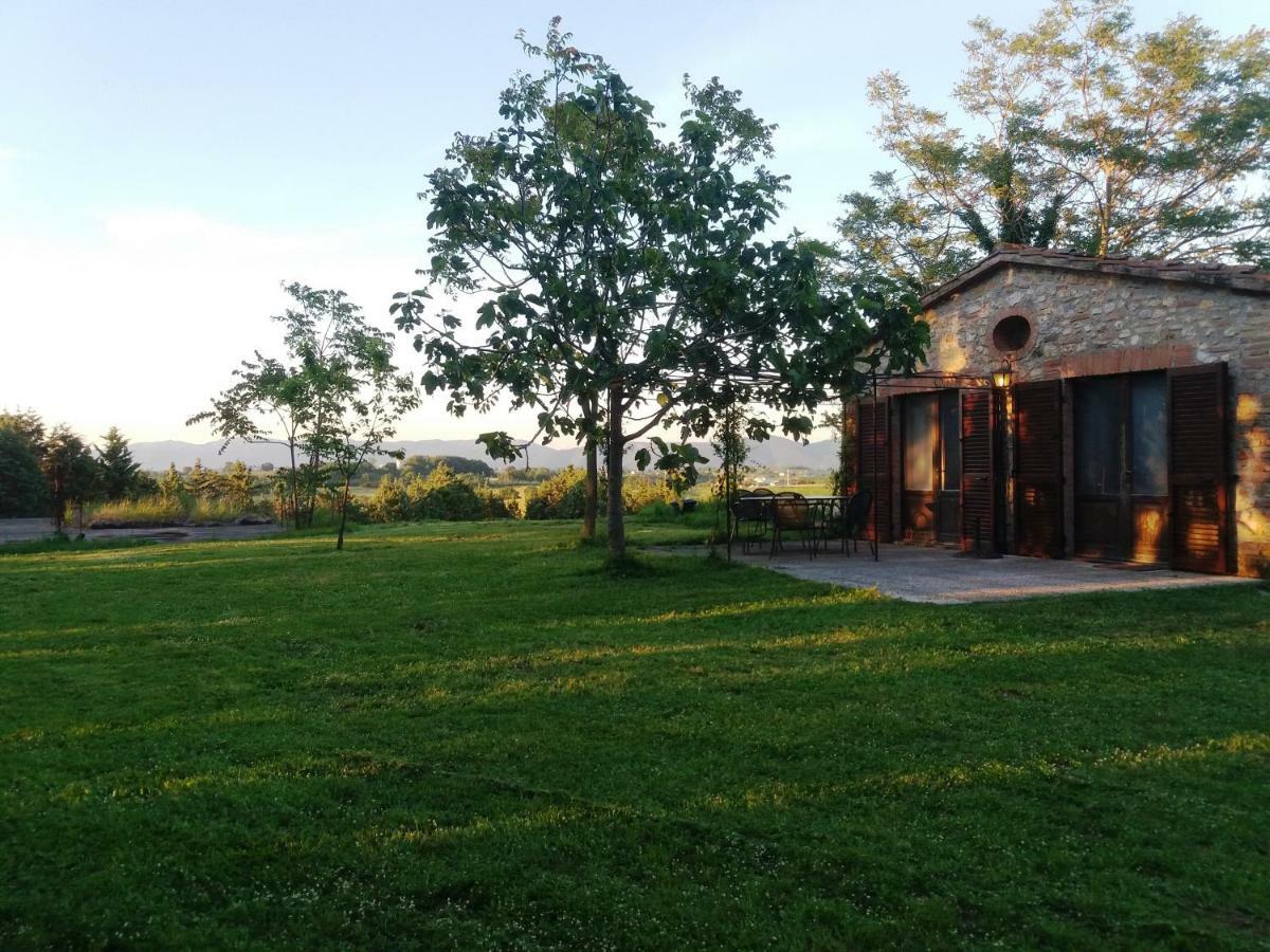 Marco & Andrea Agriturismo อเมเลีย ภายนอก รูปภาพ