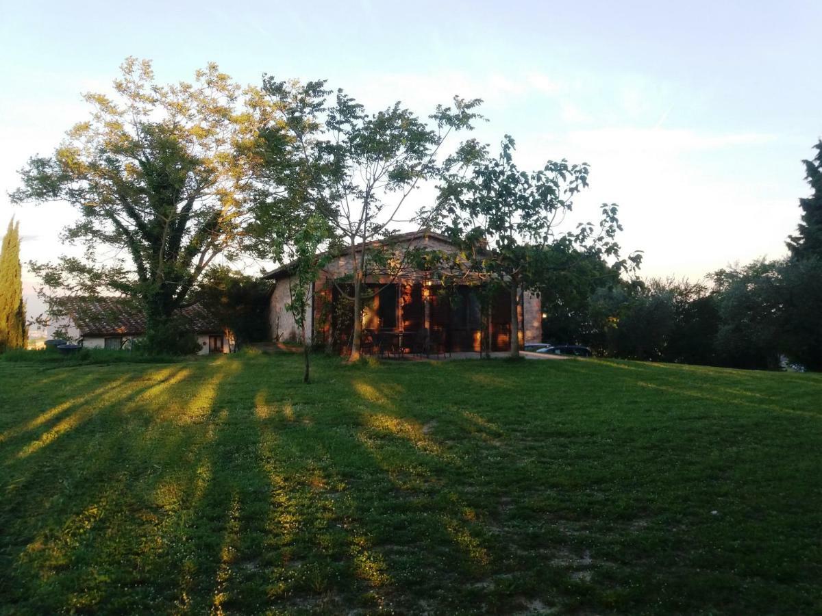 Marco & Andrea Agriturismo อเมเลีย ภายนอก รูปภาพ