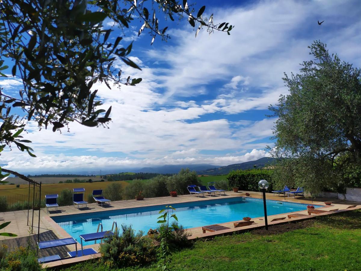 Marco & Andrea Agriturismo อเมเลีย ภายนอก รูปภาพ